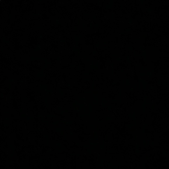 Meet your Posher, Lexi - Picture 1 of 1